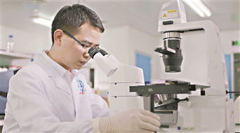广州科学家发现细胞 密码 可让细胞 返老还童