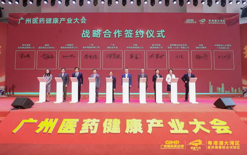 打造医药健康产业发展新高地