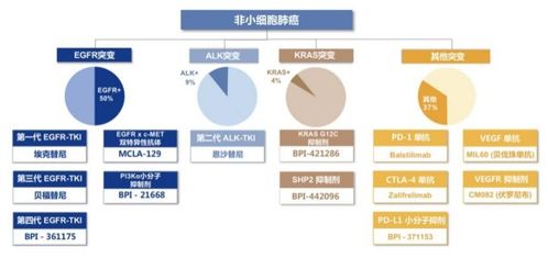 贝达药业启示录 曾经的创新药 第一股 是如何掉队的
