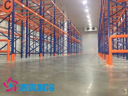 1000吨肉类冷库建造安装造价表